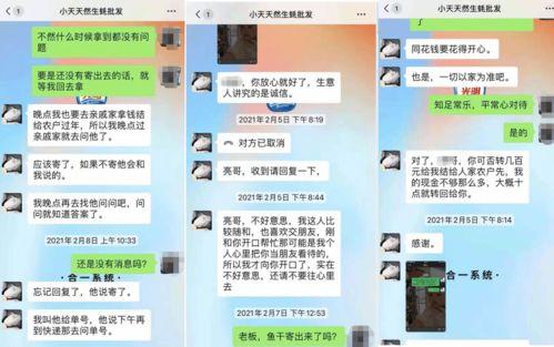 湛江爆料诈骗案件最新,揭秘连环骗局,受害者血本无归!