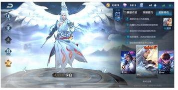 瑶新皮肤最新爆料荣耀典藏,瑶新皮肤爆料,神秘荣耀典藏即将揭晓!